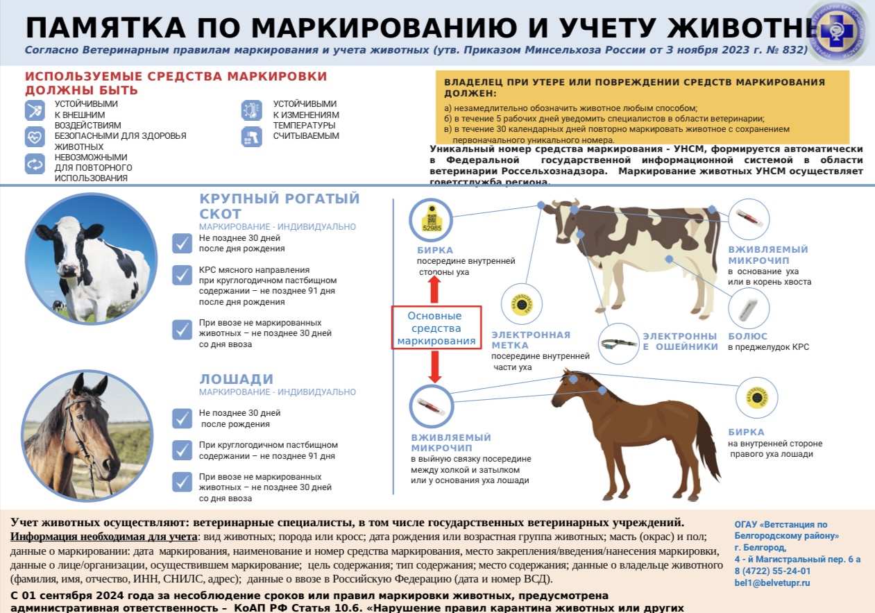 Памятка по маркированию и учету животных.